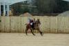 Oxford Polo 2023_01_08 0003